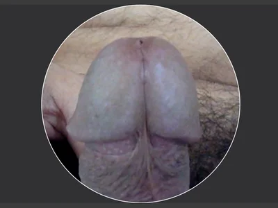 VideoArtist Live Cam