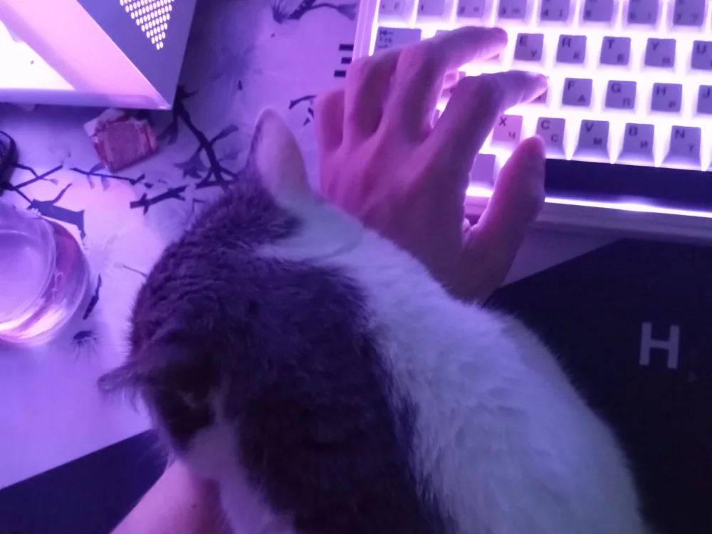 iryaokame offline chatrum