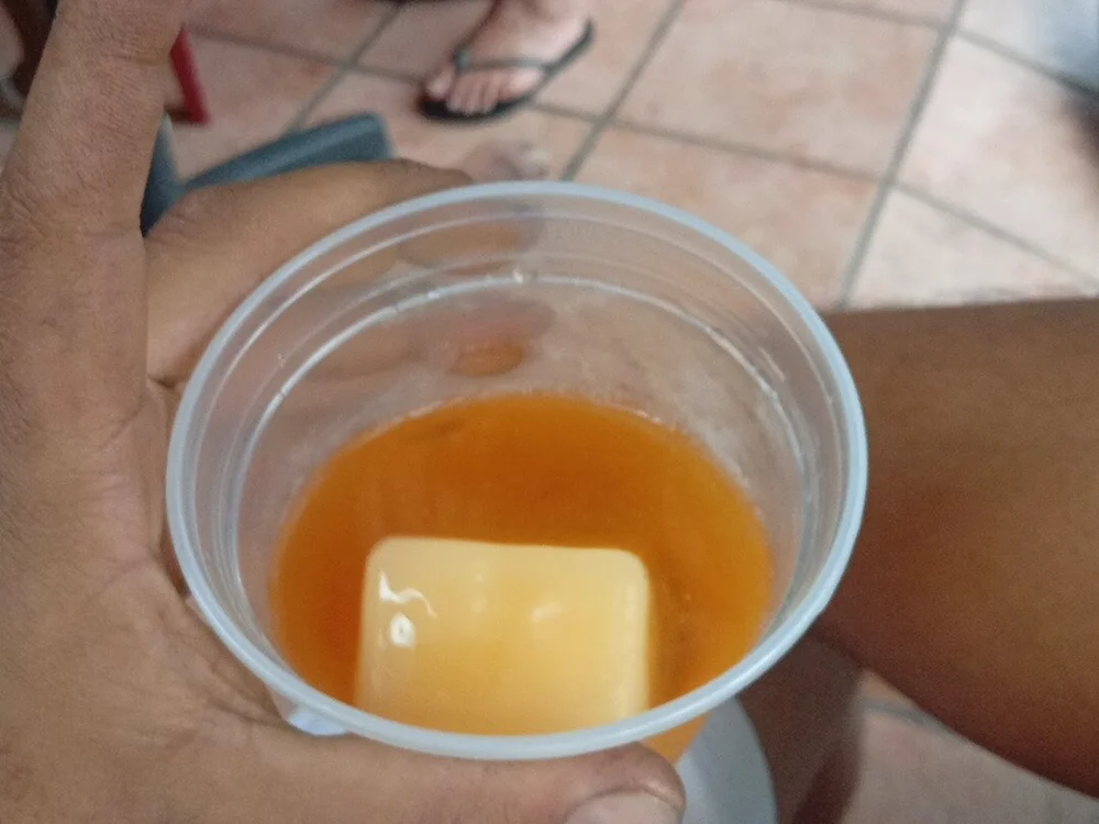 OCavalao_