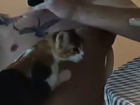 branquinho14's webcam live show