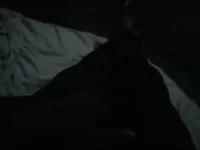adam4022