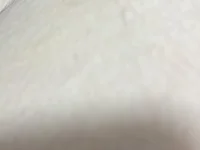 macaupanda