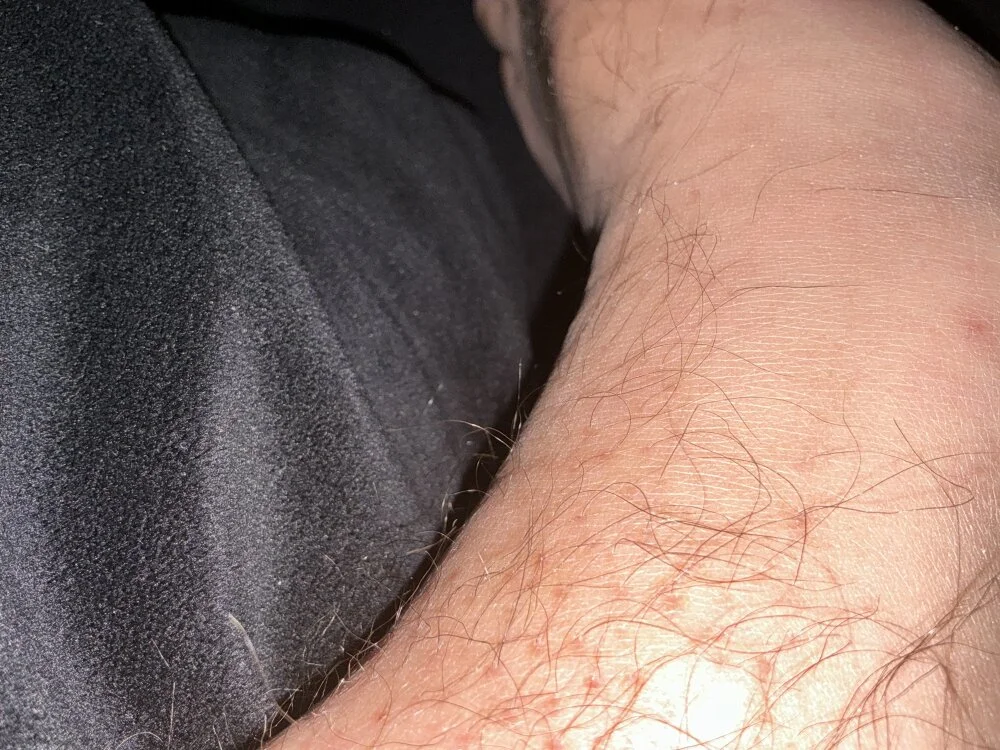 bobhank883's Offline XXX Chat