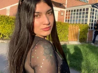 Модель big--boss