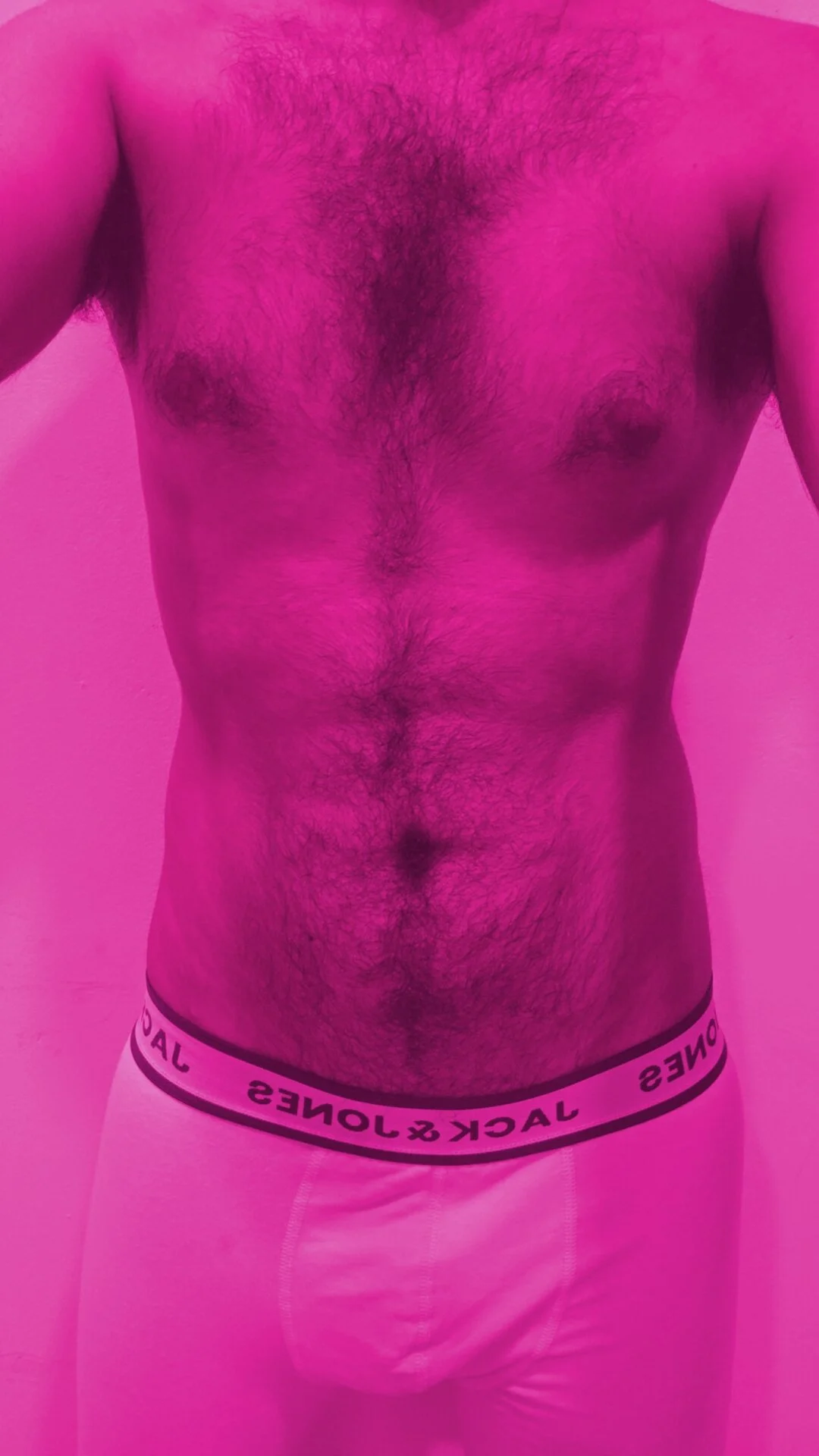 brownie_cake_cb live webcam