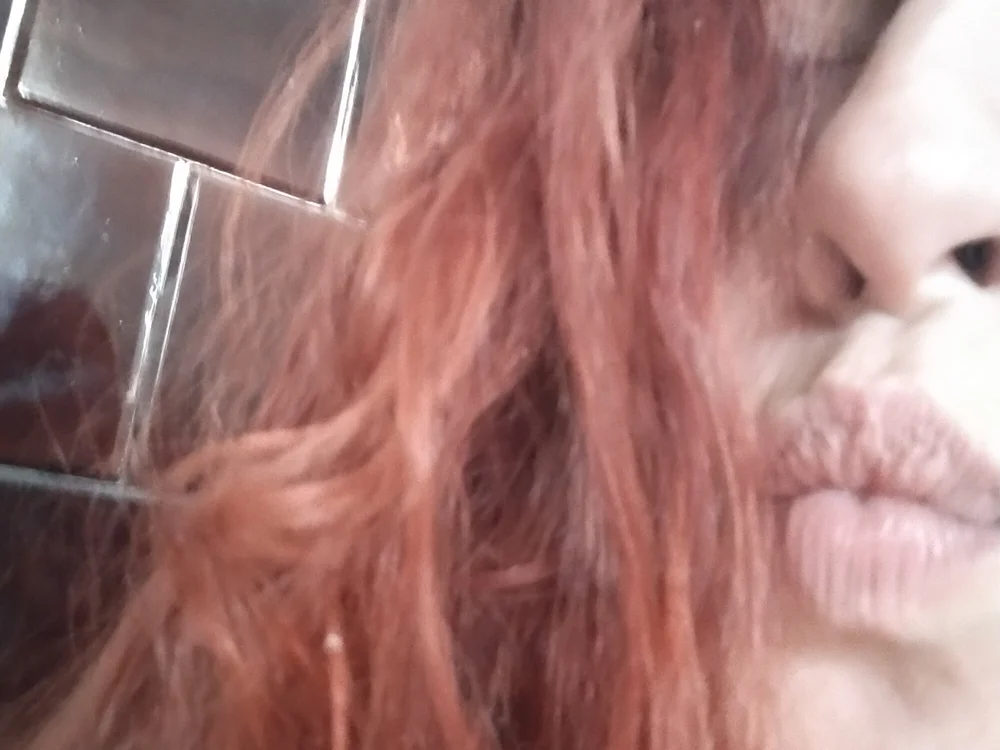 hollominds's most recent online preview