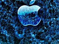 Модель malluflash