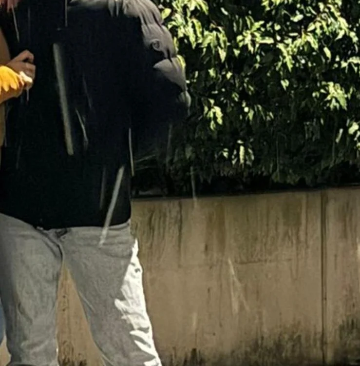 foxandbunny1's Offline XXX Chat