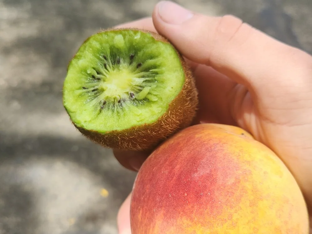 Dave13207's Offline XXX Chat