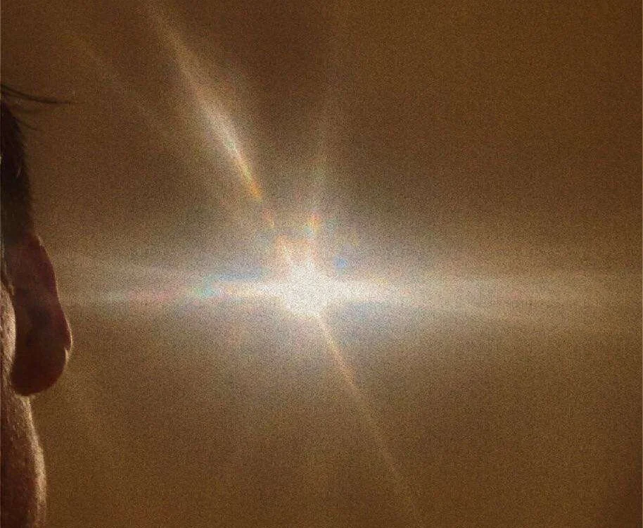 Chat +18 off-line de sexyguyhere13