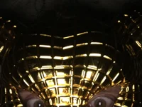 axvvgchx live cam profile - MySuperHot