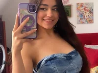 Модель ALINA_EF