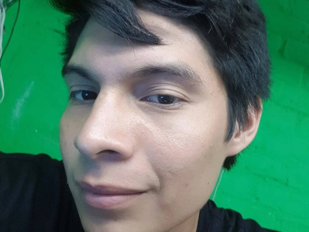 pichulon2012's Offline Chat Room