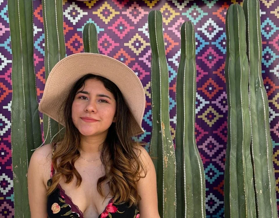 Chat +18 off-line de SweetTulipan