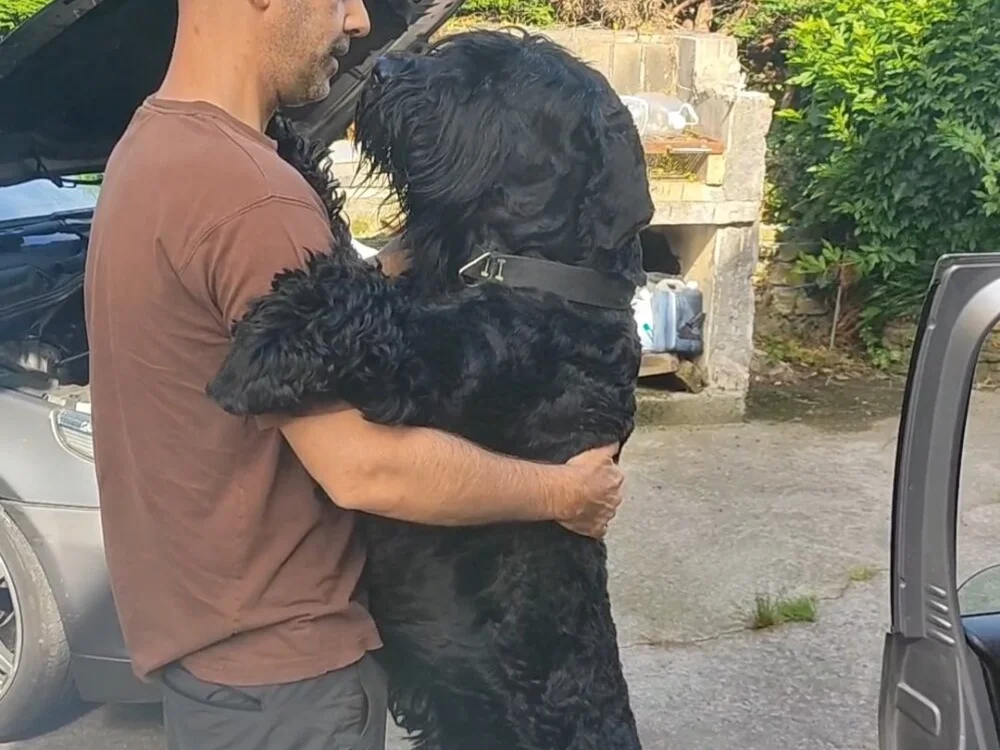 dollar_sub – Offline XXX chat