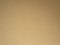 dlasian1998 live cam profile - MySuperHot