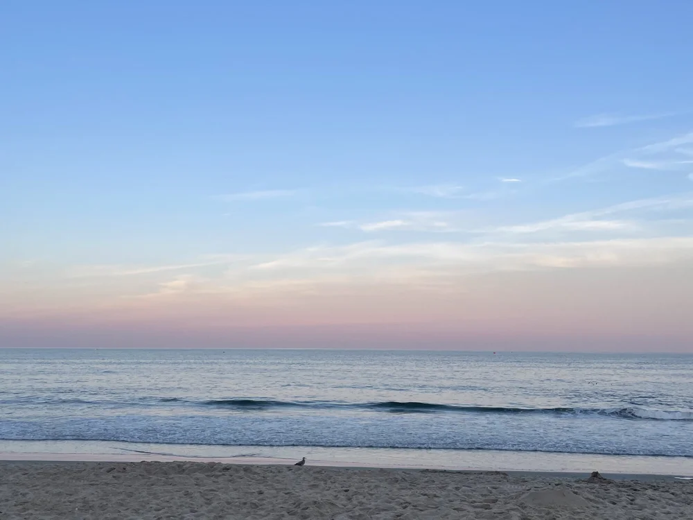 tgirlhottie69's Offline XXX Chat