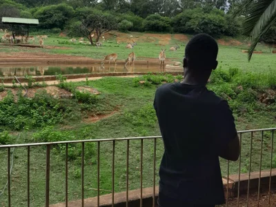 DiscipleOfDiddy