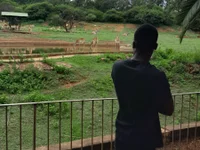 DiscipleOfDiddy's webcam live show