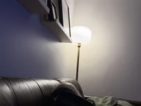 Alamoooo