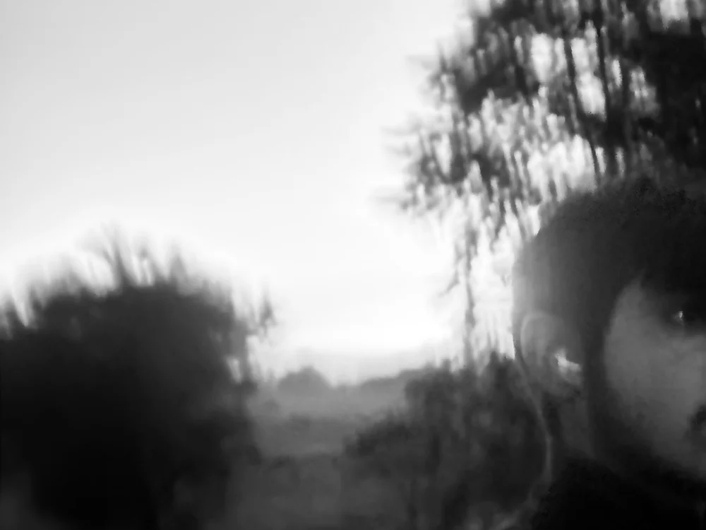 StepEvy's Offline XXX Chat