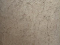Jitendrasingh1996's webcam live show
