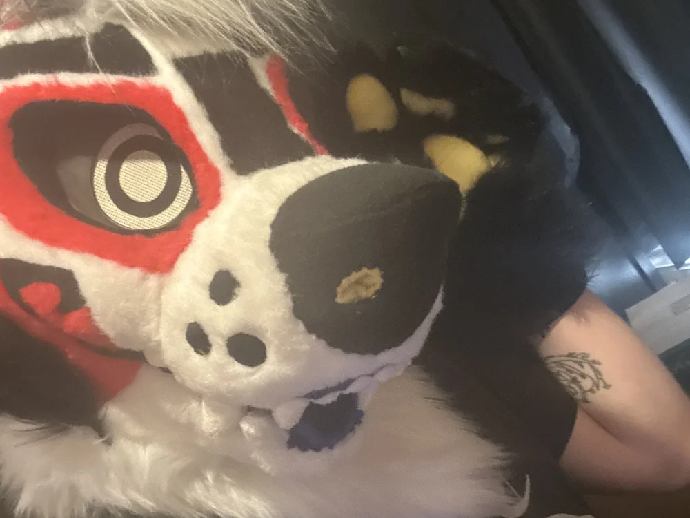 thathairyfurry offline chatrum