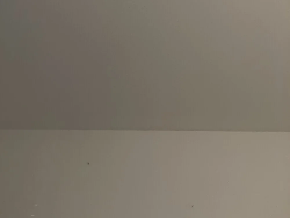 CoupleHot_X 離線 XXX 聊天