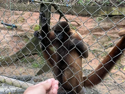 Miguelsanmatin profile