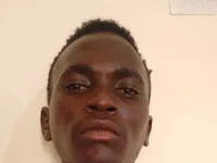 Модель BlaringFlow