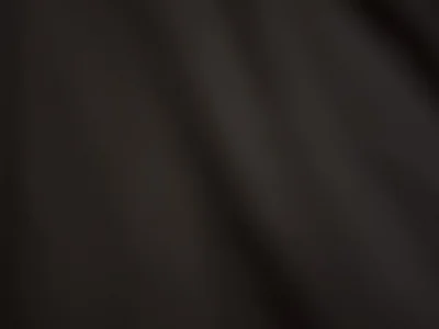 Cha534 visualização da webcam