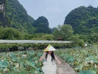 Samdangg's webcam live show