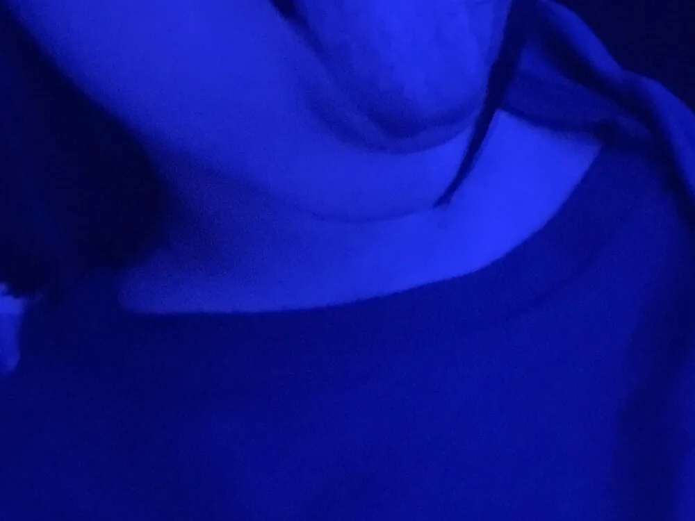 gatinholl Chat XXX offline