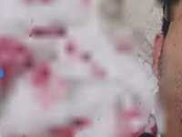 Модель Yerackhip