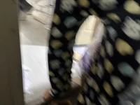 no3402's webcam live show