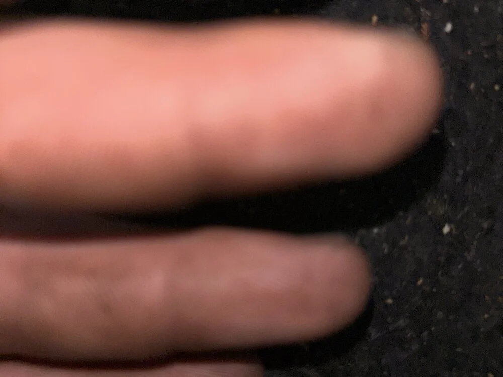 samc345: офлайн-секс-чат