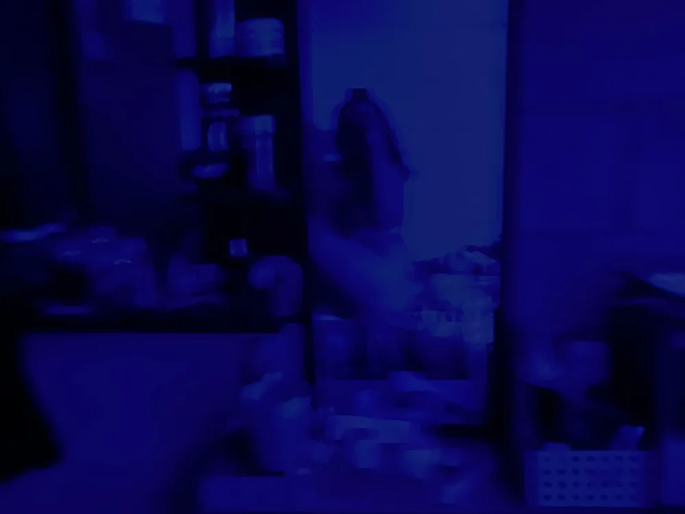 VictorianaXx's Offline XXX Chat