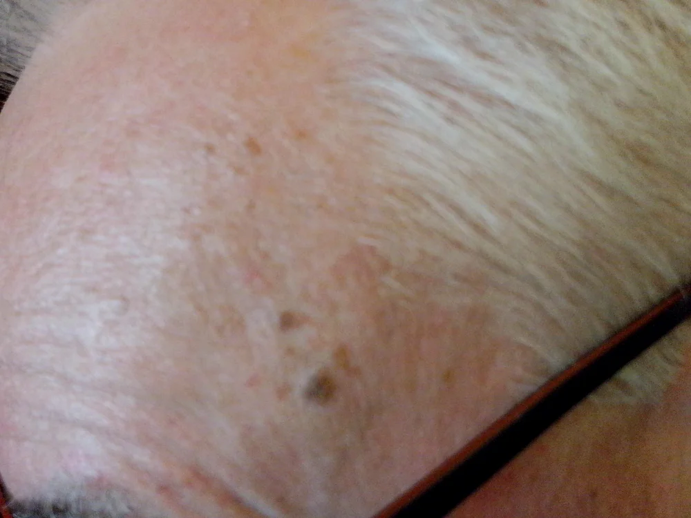 Онлайн чат XXX otto0775