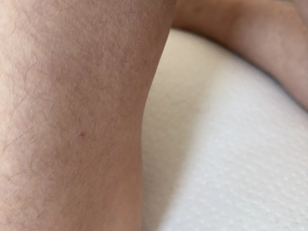 yyyyjdjdjjdj 离线XXX聊天