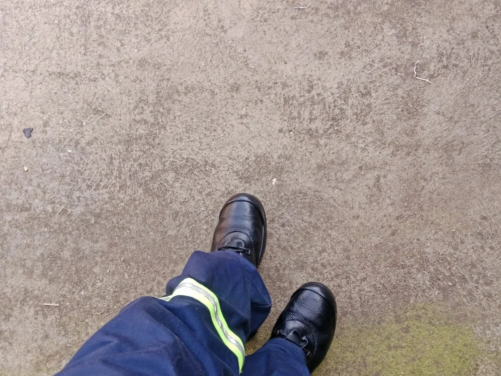 Chatroom XXX hors ligne de Pediguy55