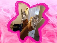 jsduncensors লাইভ XXX চ্যাট
