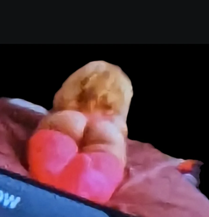 shortfantasii's Offline XXX Chat