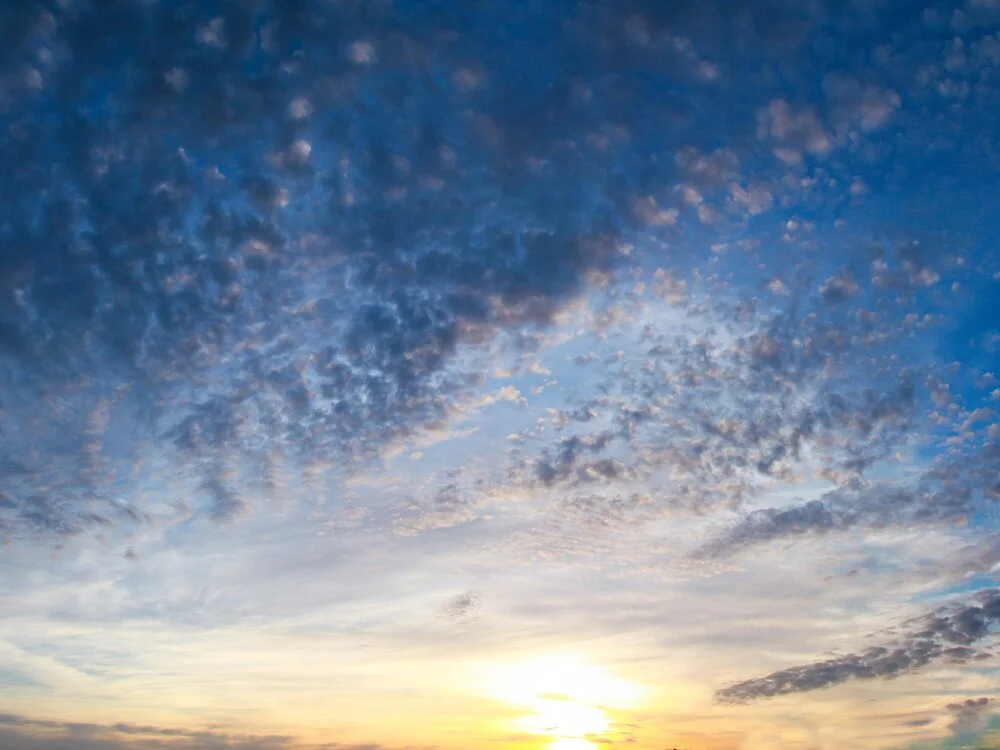 Offline XXX chat modela BlueGentleman1983