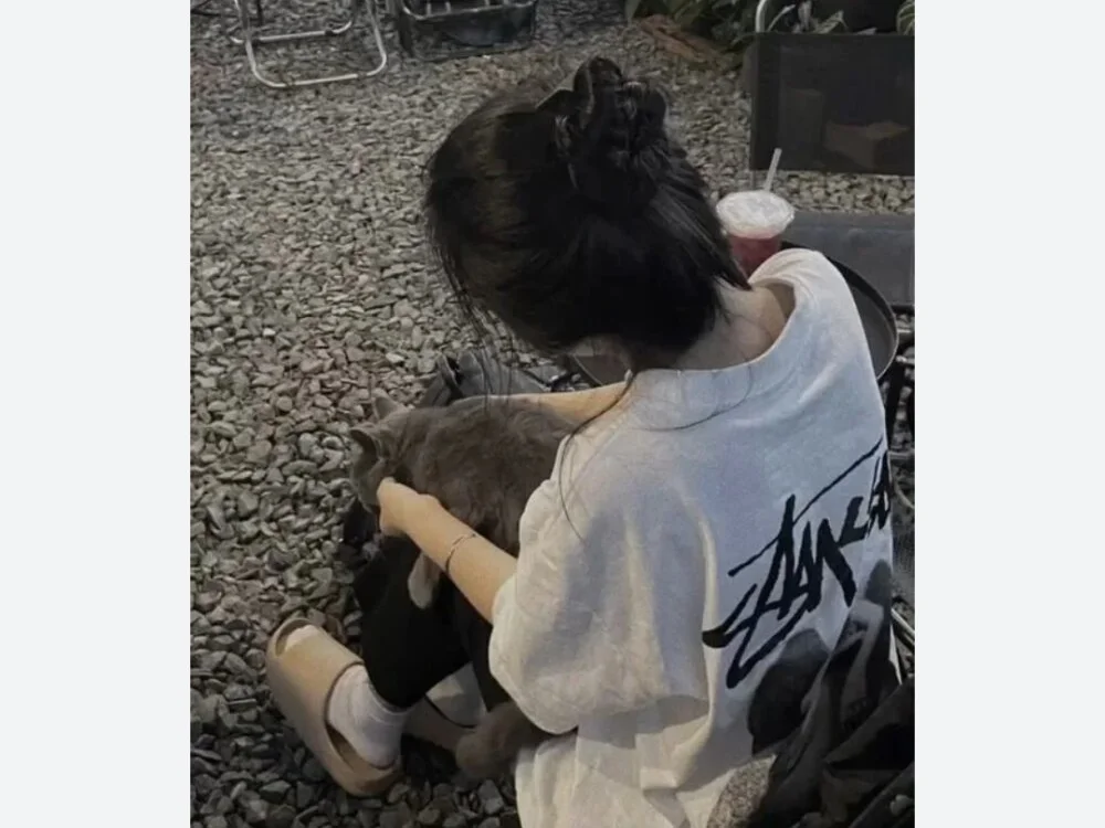 millkon Chat XXX Ngoại tuyến