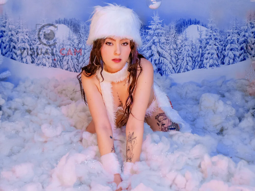 samara_goals 离线XXX聊天