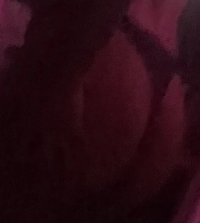 hard_harry12 오프라인 XXX 채팅