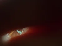 LaudedWords's webcam live show