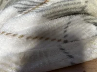 _cum2daddy live cam profile - MySuperHot