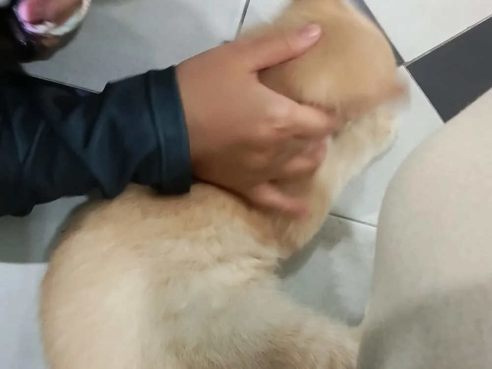 kittenShovel's Offline XXX Chat