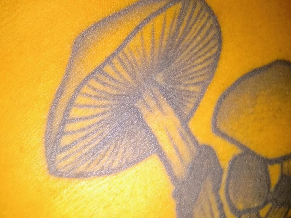 Chat XXX offline de newatthisbutnaughty